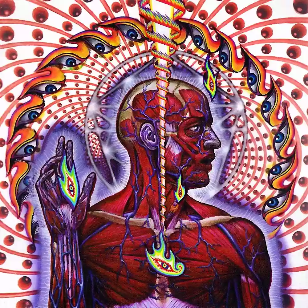 کاور رسمی آلبوم Lateralus از گروه Tool منتشرشده در سال ۲۰۰۱