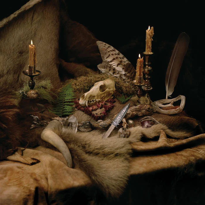 جلد آلبوم Primordial Arcana از ولوز این دِ ثرون روم در سال ۲۰۲۱